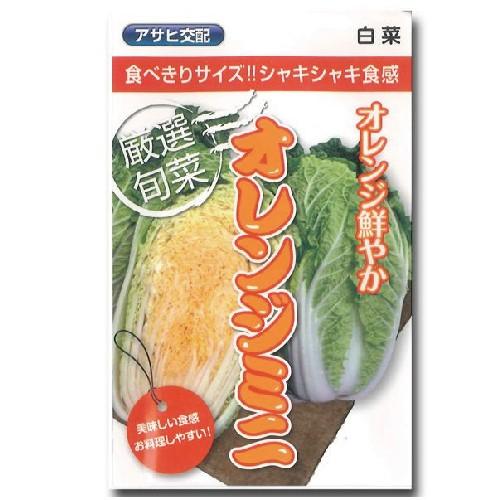 白菜の種 オレンジミニ 1ml 野菜の種 新作販売 トップ