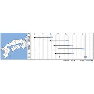 大根の種 秋神楽 2dl ( 野菜の種 )の画像