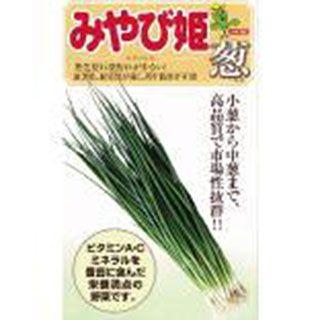 即出荷 贅沢屋の ネギの種 みやび姫 小袋 約15ｍｌ 野菜の種 kamejikan.com kamejikan.com