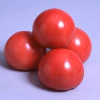 トマトの種 パルト 1000粒 ( 野菜の種 )
