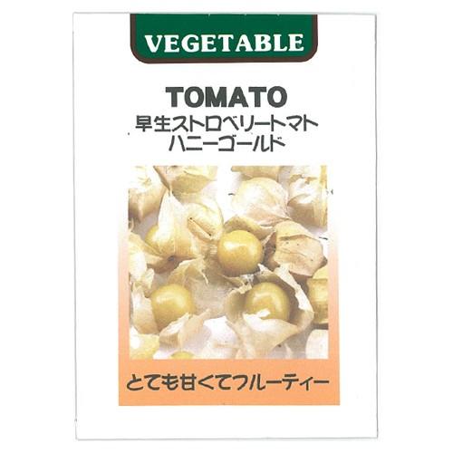 食用ほおずき ストロベリートマト ハニーゴールドの種 小袋 (藤田