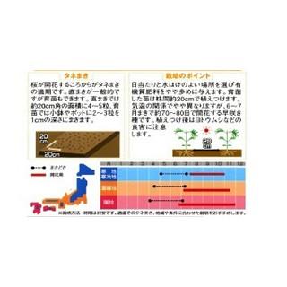 コスモスの種 センセーション 混合 1dl （ 秋桜 ） : 菜園くらぶ Yahoo