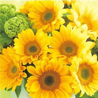 ひまわりの種 F1サンリッチ フレッシュオレンジ 小袋（約15粒