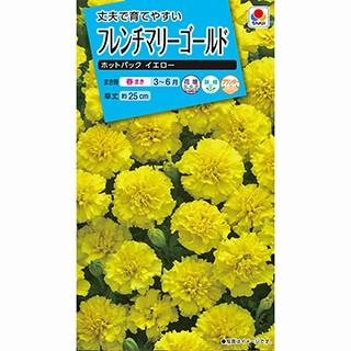 フレンチマリーゴールドの種 ホットパック イエロー 小袋 菜園くらぶ Yahoo 店 通販 Yahoo ショッピング