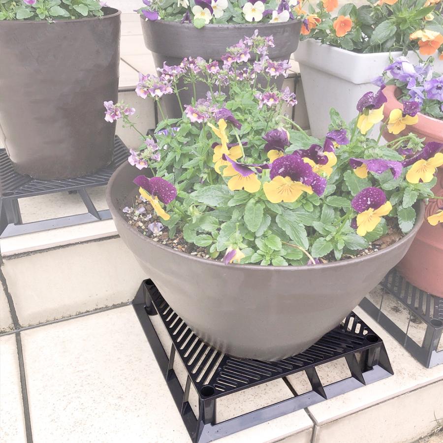 ブラックベース 24cm フラワースタンド 四角 第一ビニール : 菜園