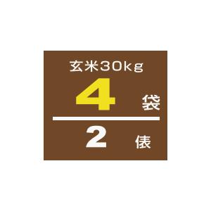 玄米保冷庫 アルインコ 米っとさん LHR-04NF（ 玄米専用 ） メーカー欠