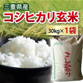 コシヒカリ 玄米 30kg 令和6年産 三重県産 おひとり様1袋限り コシヒカリ 玄米 30kg 令和6年産 三重県産 おひとり様1袋限り