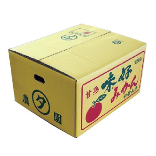 味好みかん やんちゃ 5kg箱 和歌山県下津町産 蜜柑 ギフト 贈り物 贈答