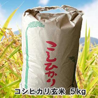 コシヒカリ 玄米 ５kg 令和7年産  三重県産 米 お米 コメ ５キロ 小袋 小分け こしひかり（Yahoo!・菜園くらぶ Yahoo!店）