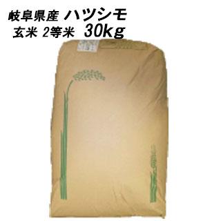 新米 ハツシモ 玄米 30kg ハツシモ 玄米 30kg 令和6年産 岐阜県産 おひとり様1袋限り 限定30袋