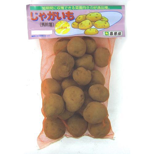 高評価のクリスマスプレゼント じゃがいも 馬鈴薯 トウヤ 種芋 種いも 1kg入り 予約販売 春植え Microsoftwaypoint Com