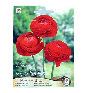 花の球根 ラナンキュラス 赤 5球入り 球根 ラナンキュラスの球根 菜園くらぶ Yahoo 店 通販 Yahoo ショッピング