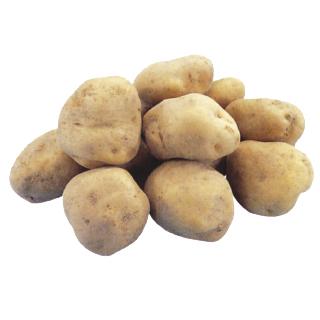 じゃがいも 馬鈴薯 高級男爵 種芋 種いも 1kg入り 予約販売 菜園くらぶ Yahoo 店 通販 Yahoo ショッピング