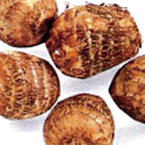 里芋(さといも) 予約 絹ひかり 種芋 500g(3〜4個入り 里芋(さといも) 予約 絹ひかり 種芋 500g(3〜4個入り