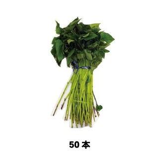 サツマイモの苗 紅アズマ 50本 予約販売 : 菜園くらぶ Yahoo!店 - 通販