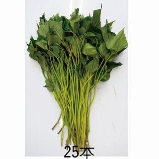 サツマイモの苗 パープルスイートロード 25本 予約販売 : 菜園くらぶ