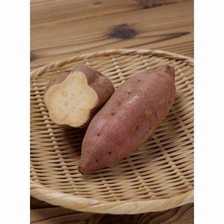 さつまいもの苗 安納紅 150本 サツマイモの苗 安納芋 150本 予約販売 : 菜園くらぶ Yahoo!店 - 通販