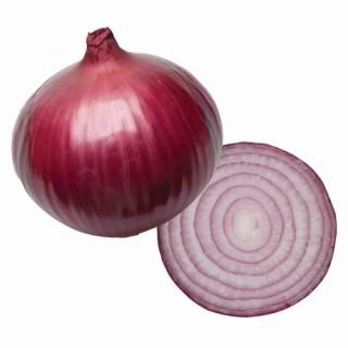 玉ねぎの苗 予約 早生 赤玉ねぎレッドグラマー 約50本 : 菜園くらぶ