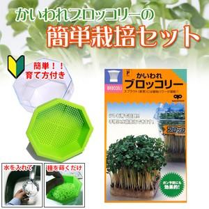 ブロッコリースプラウト 栽培セット 簡単栽培セット (栽培容器付き) ( 野菜の種 )｜saien-club