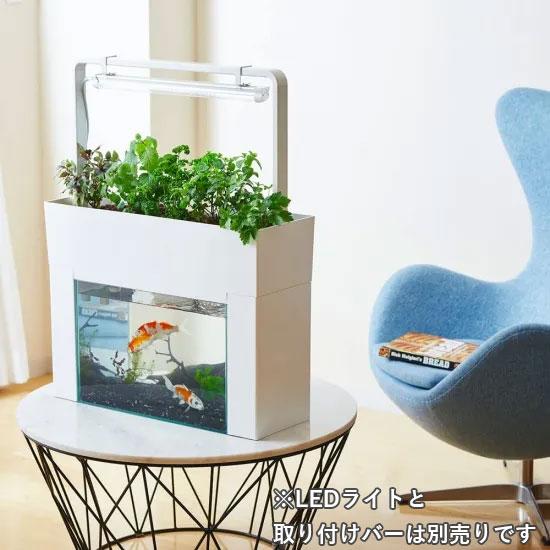 アクアポニックス 水耕栽培 キット アクアスプラウトSV 【ベーシック
