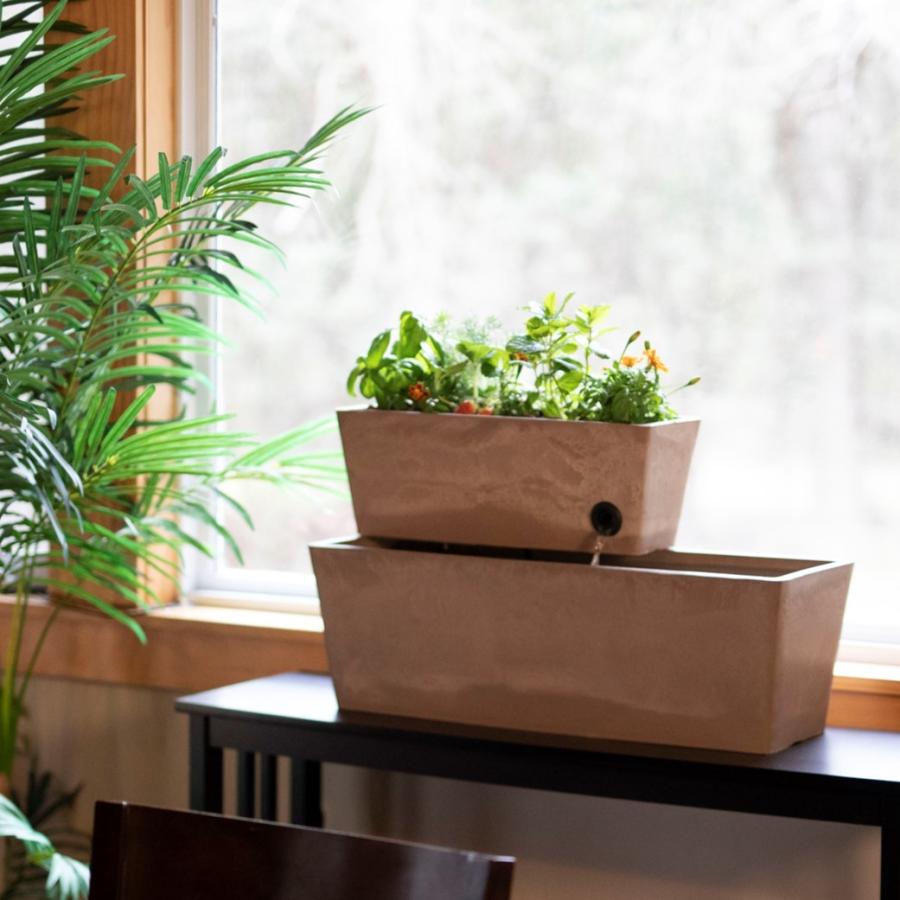 アクアポニックス キット おさかな畑 レクタングル 25L 屋内・屋外用