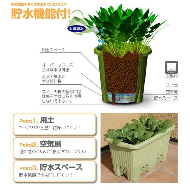 アップルウェアー 楽々菜園 深型750支柱フレーム付 40リットル 家庭菜園 野菜用 ベランダ菜園 おしゃれ 植木鉢 ガーデニング 底面給水 大型 Z22 10 菜園ライフ 通販 Yahoo ショッピング
