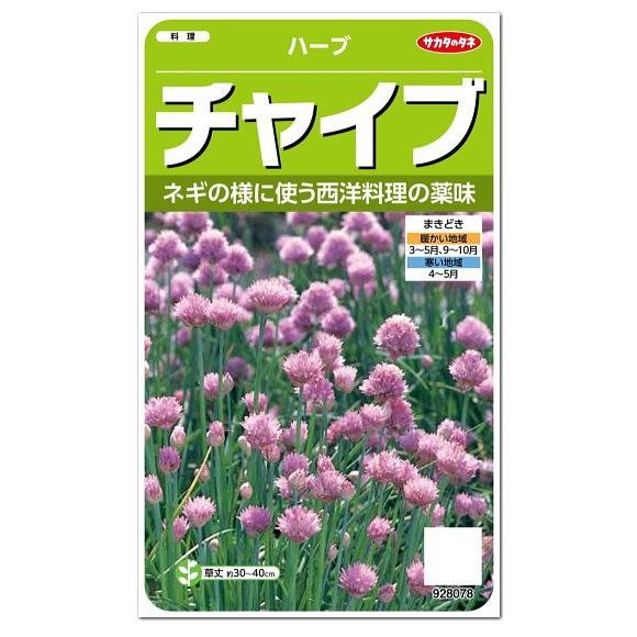 サカタのタネ ハーブ チャイブ 種 多年草 家庭菜園 料理用 ハーブ チャイブのタネ たね 種子 Herb セイヨウアサツキ チャイブス エゾネギ Chives Z28 10 菜園ライフ 通販 Yahoo ショッピング