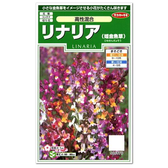 サカタのタネ リナリア 姫金魚草 高性混合 耐寒性1年草 種 花壇 プランター 切り花 種子 たね ガーデニング メール便対応 Z28 10 菜園ライフ 通販 Yahoo ショッピング