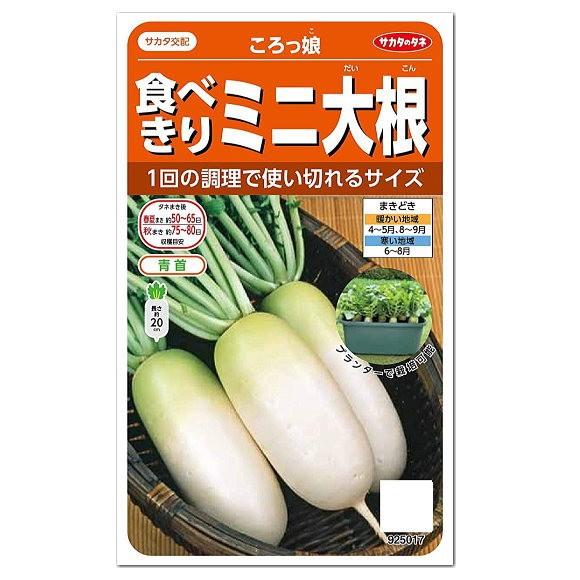 132円 ランキングtop5 サカタのタネ 食べきりミニ大根 ころっ娘 種 短根種 家庭菜園 プランター栽培 かわいいだいこん たね 野菜 ダイコンのタネ