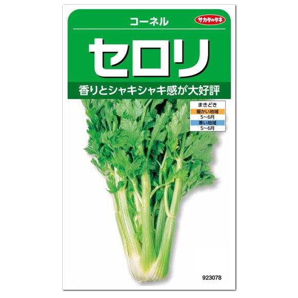 87円 販売実績no 1 サカタのタネ セロリ コーネル 種 家庭菜園 タネ 香味野菜 たね 種子