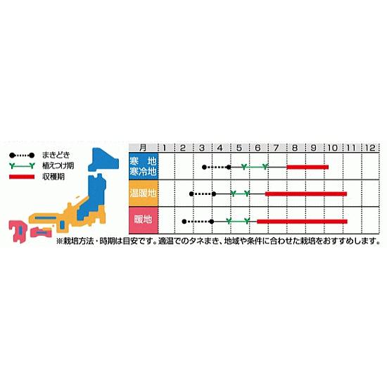サカタのタネ フルーツパプリカ セニョリータ ミックス 種 家庭菜園 プランター栽培 パプリカ タネ たね 種子 夏野菜 Z28 10 004 菜園ライフ 通販 Yahoo ショッピング