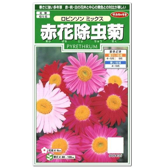 サカタのタネ 赤花除虫菊 ロビンソンミックス 種 花壇 切花 切り花 たね じょちゅうぎく タネ ガーデニング キク科 多年草 Z28 10 菜園ライフ 通販 Yahoo ショッピング