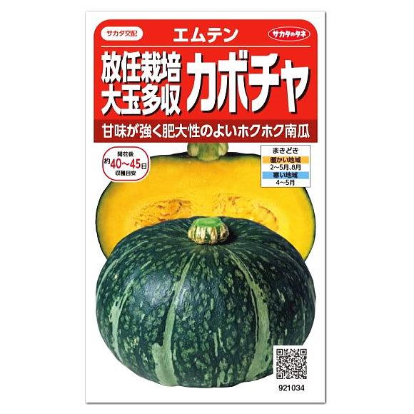 サカタのタネ 放任栽培大玉多収 カボチャ エムテン 種 家庭菜園 かぼちゃのタネ たね 種子 緑黄色野菜 夏野菜 Z28 10 菜園ライフ 通販 Yahoo ショッピング