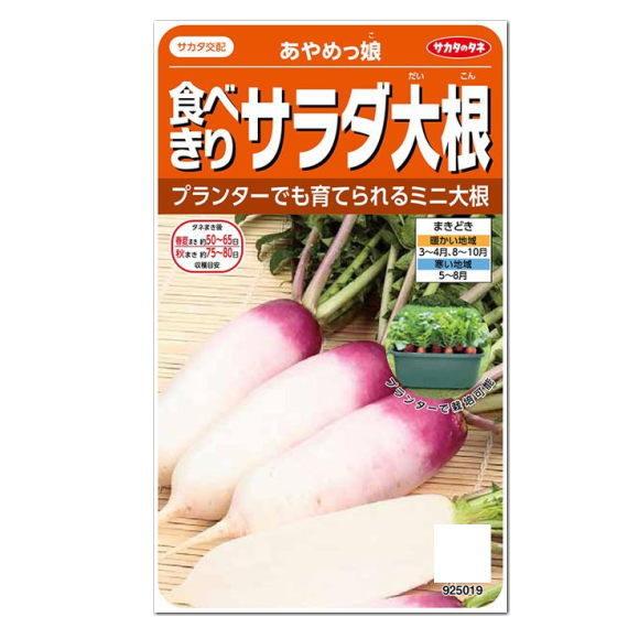 サカタのタネ 食べきりサラダ大根 あやめっ娘 種 短根種 家庭菜園