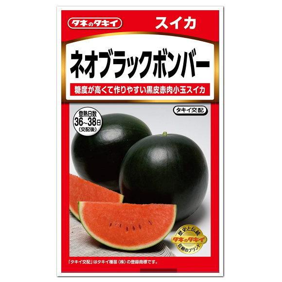 タキイ 小玉スイカ ネオブラックボンバー 種 種子家庭菜園 スイカのタネ たね 種子 夏野菜 すいか 西瓜 Z29 10 菜園ライフ 通販 Yahoo ショッピング