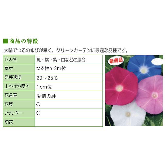 トーホク 大輪咲混合 おはよう朝顔 種 生産地 新潟県 花壇 プランター あさがお 緑のカーテン エコ アサガオのたね 種子 ガーデニング メール便対応 Z57 10 菜園ライフ 通販 Yahoo ショッピング