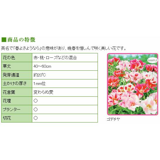 トーホク ゴデチヤ 種 花壇 プランター 切花 たね 種子 タネ ガーデニング ごでちや ゴデチャ イロマツヨイグサ メール便対応 Z57 10 菜園ライフ 通販 Yahoo ショッピング