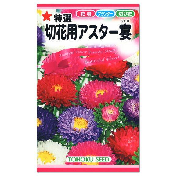 トーホク 切花用アスター 宴 種 一年草 花壇 プランター 切花 たね ガーデニング メール便対応 Z57 10 菜園ライフ 通販 Yahoo ショッピング