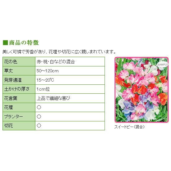 トーホク スイートピー 混合 種 一年草 花壇 プランター 切花 たね 種子 ガーデニング メール便対応 Z57 10 菜園ライフ 通販 Yahoo ショッピング