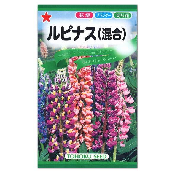 トーホク ルピナス 混合 種 一年草 花壇 プランター 切り花 たね のぼりふじ 昇藤 ノボリフジ 立藤 タチフジ メール便対応 Z57 10 菜園ライフ 通販 Yahoo ショッピング