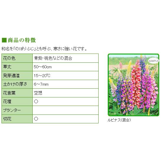 トーホク ルピナス 混合 種 一年草 花壇 プランター 切り花 たね のぼりふじ 昇藤 ノボリフジ 立藤 タチフジ メール便対応 Z57 10 菜園ライフ 通販 Yahoo ショッピング