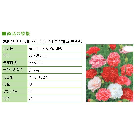 トーホク カーネーション 種 一年草 花壇 プランター 切花 たね 種子 ガーデニング メール便対応 Z57 10 菜園ライフ 通販 Yahoo ショッピング