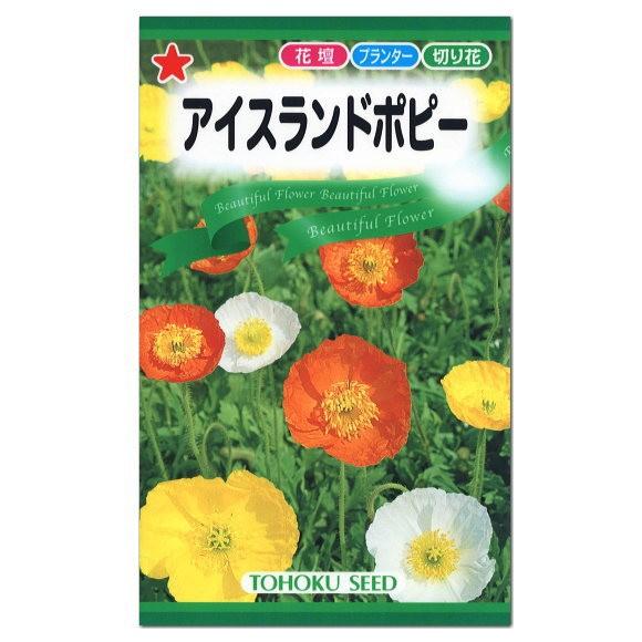 トーホク アイスランドポピー 種 一年草 花壇 たね ガーデニング シベリアひなげし メール便対応｜saienlife