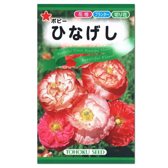 熱い販売 トーホク ポピー ひなげし 種 一年草 花壇 プランター たね ガーデニング メール便対応