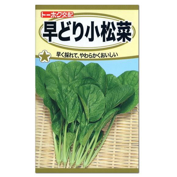 トーホク 早どり小松菜 種 家庭菜園 プランター栽培 ツケナ 漬け菜 コマツナのタネ 種子 こまつな たね 野菜 メール便対応 Z57 10 菜園ライフ 通販 Yahoo ショッピング