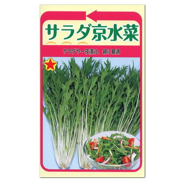トーホク サラダ京水菜 種 家庭菜園 プランター栽培 京菜 ツケナ 漬け菜 みずな ミズナのタネ 種子 たね メール便対応 メーカー直売