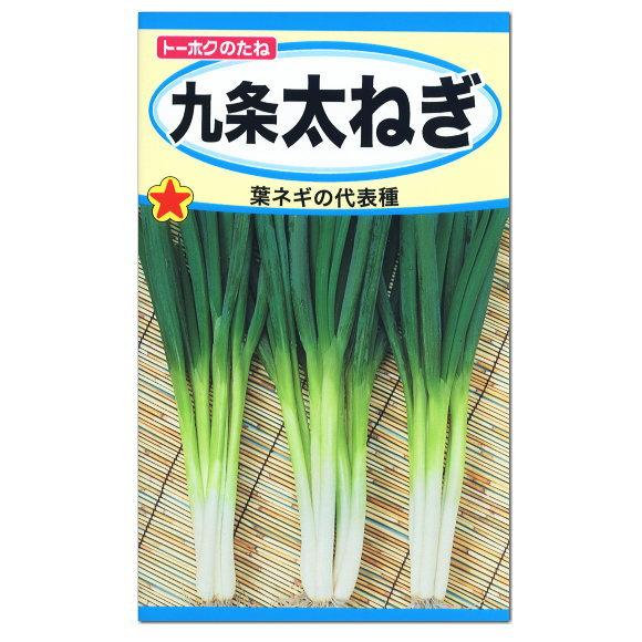 トーホク 九条太ねぎ 種 家庭菜園 野菜 葉ねぎ ネギのタネ 野菜 たね 種子 メール便対応 Z57 10 002 菜園ライフ 通販 Yahoo ショッピング