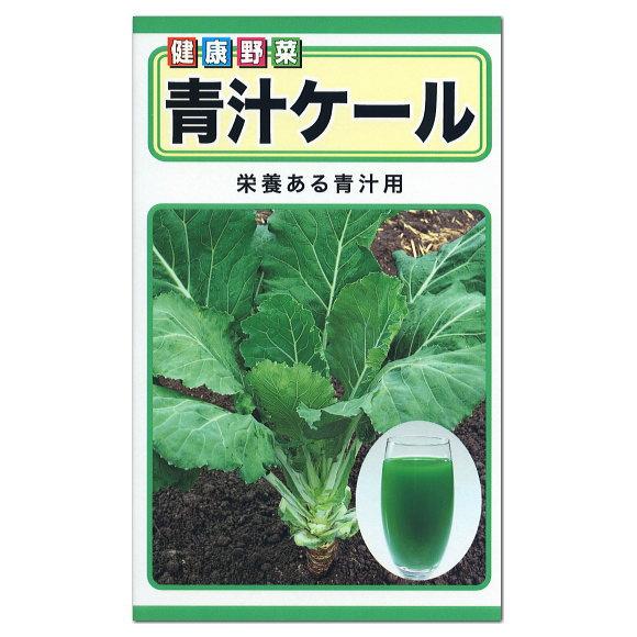 トーホク 青汁ケール 種  家庭菜園 野菜 栽培 あおじる ケールの種 たね 種子 緑黄色野菜 プランター タネ｜saienlife