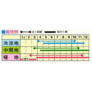 トーホク はつか大根 ミックス３ 種 家庭菜園 プランター栽培 たね 種子 野菜 二十日大根 メール便対応 Z57 10 菜園ライフ 通販 Yahoo ショッピング