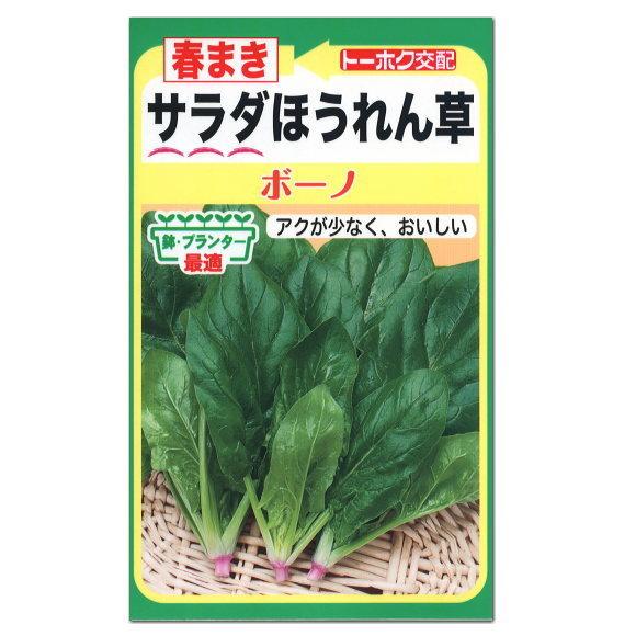 トーホク サラダほうれん草 ボーノ 種 家庭菜園 プランター栽培 種子 ホウレンソウのタネ 野菜 メール便対応 Z57 10 菜園ライフ 通販 Yahoo ショッピング
